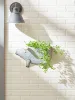 Galvanized Pig Wall Planter