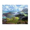 Terraced Field Landscape Wall Tapestry, 43x59in
