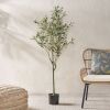 Artificial Olive Tree, 59in