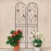 Metal Garden Trellis, Set of 2, Black