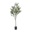 Artificial Olive Tree, 71in