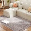 4x6 Traditional Flower Print Rug, Grey & Brown