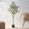 Artificial Olive Tree, 59in