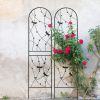 Metal Garden Trellis, Set of 2, Black