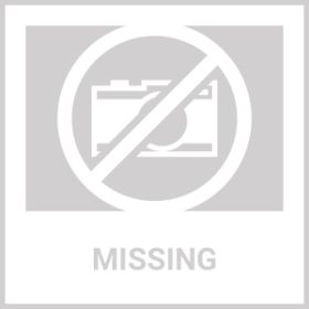 Chrome 2-Tier Modern Metal Shoe Rack - Hold up to 7 Pair of Shoes