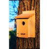 Cedar Birdhouse for Bluebirds