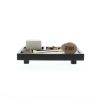 Miniature Tabletop Zen Garden Kit