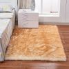 Fluffy Imitation Wool Area Rug, Long Pile