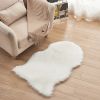 Fluffy Imitation Wool Rug, 23.62x35.43in